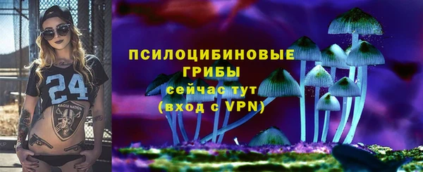 ГАЛЛЮЦИНОГЕННЫЕ ГРИБЫ Горняк