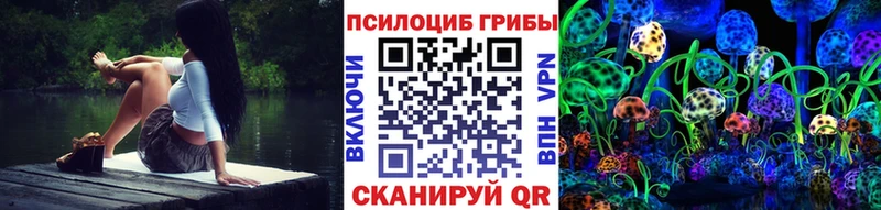 Псилоцибиновые грибы Psilocybine cubensis  Саяногорск 
